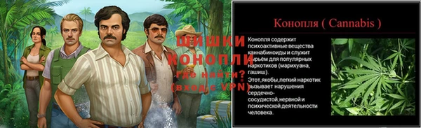 a pvp Няндома
