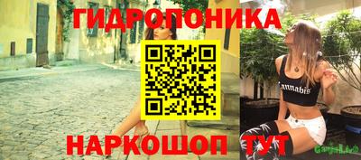 дмт Берёзовский