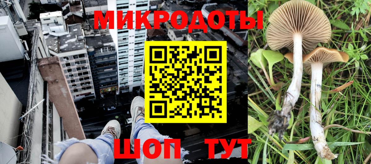 Белогорск  Псилоцибиновые грибы Psilocybine cubensis  Вход с VPN 